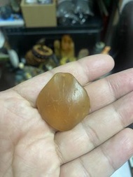 魚精石