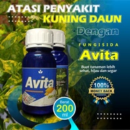 Fungisida Avita Obat Pertanian Anti Virus Gemini Tanaman Cabe