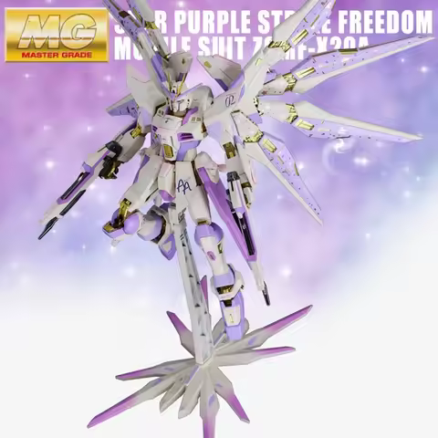 Bandai MG Strike Freedom Custom Paint Model Kit High Grade Mecha Collectible Anime Display Decor DIY