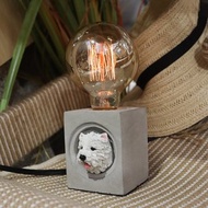 曙MUSE 西莎水泥桌燈 LED燈 鎢絲燈泡 USB燈 擺飾