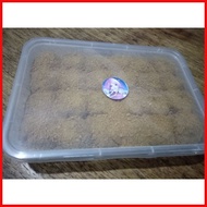 ☍ Graham Balls Original Honey Grahams 24 pcs