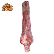 Hot Inflatable Corpse Hallowmas Creepy Haunted House Prop