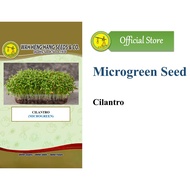 (250 GRAM) Biji Benih Cilantro Microgreen  Cilantro Sprouts 香菜苗种子