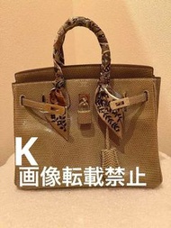 Hermes Birkin 25 蜥蜴皮 銀色五金配件