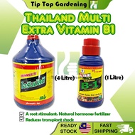 THAILAND MULTI EXTRA VITAMIN B1 1 LITER / 4 LITER AMINO ACID PENGGALAK AKAR B1