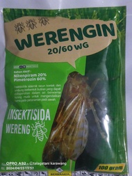 Insectisida WERENGIN 20/60WG B.A Nitrenpiran 20% +Pimetrozin 60%