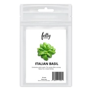 Gardening Seeds Fatty Seeds – Italian Basil Herb Seeds