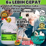 Kapsul Pil Kutuk Premium Pro Albumin Kapsul Gabus Original Pasca