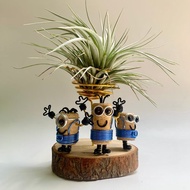 手作小小兵 花插 多肉裝飾 空氣鳳梨架 空鳳花架(不含空氣鳳梨)