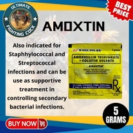 AMOXTIN 5 GRAMS (SOLD PER SACHET)