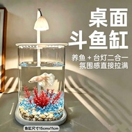 网红斗鱼小鱼缸蓝冰晶石松玉石桌面创意生态斗鱼缸景观缸装* 饰造景Internet Celebrity Fighting Fish Small Fish Tank Desktop Creative La