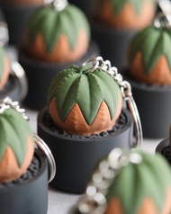 布紋球按键鎖匙扣 鑰匙圈/吊飾/多肉塊根/送禮/辦公室擺設/盆栽