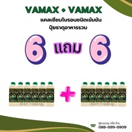 1 แถม 1 เลือกได้ ติดดก จบในชุดเดียว Cabmax Vamax ปุ่ยสูตรที่ดีที่สุดในตอนนี้ ธาตุอาหารรวม+แคลเซียมโบ