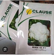 benih bibit bunga kol Bima 45 F1