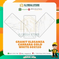Granit Eleganza Carrara Gold White 60x120 