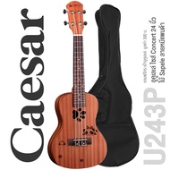 Caesar U243 Concert Ukulele อูคูเลเล่ ไซส์ Concert 24 นิ้ว ไม้ Sapele ฉลุลวดลายน่ารัก เคลือบด้าน + แ