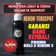 Best, Cheap Monstera Fertilizer, Monstera Deliciosa, Variegated Monstera, Best Fertilizer for Monste