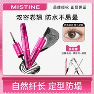 Mistine Mistine Mistine Mascara Styling Long Curling 4D Supermodel Not Easy to Smudge Long-Lasting T
