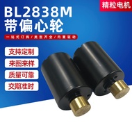 BL2838M Motor DC Tanpa Berus dengan Roda Sipi 2838 Pemangkas Benang Motor DC Tanpa Brushless Motor T