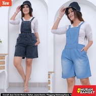 Trendy Women's Jumpsuit Hawaiian Short Overall Pants / Cheap Short Overall / Cheap Overall Pants / M