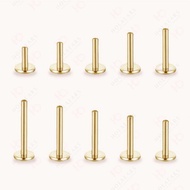 Flatback Earrings Only ASTM F136 Titanium Medical Grade