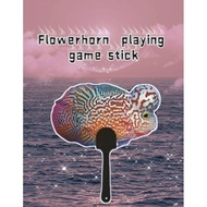 Flowerhorn Luohan Fish Playing Game Stick kamfa Cencu Super Red Dragon Golden Bass Classic  罗汉鱼斗鱼牌火气