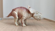 與龍同行3D 厚鼻龍  Walking with Dinosaurs 3D patchi Pachyrhinosaurus