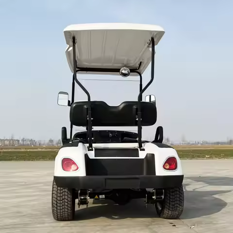 4 Wheel Electric Club Car 48V Seat Sightseeing Bus Carts 2 Seater Electric Golf Cart