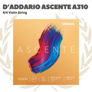 D'addario A310 4/4 Ascente Violin String Set - Violin String