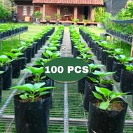 Polybag Size 40cm X 40cm Polybag 100 Pcs