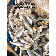 Ikan Gelama Masin / Ikan Masin Gelama