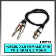 Juan - Kabel Mic Jack Xlr Female To Dual Akai Mono Kabel Canare