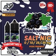 LIQUID VAPE DV9 BLACKCURRANT MINT SALT NIC POD FRIENDLY SALTNIC ERISE