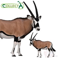 Gemsbok (Oryx gazella) - Collecta 80056 Wild Life Animal Action Figurine - Educational Toy Kid Colle