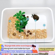 Get ST-ΨTurtle Jar Provided with Balcony Fish Tank Plastic Balcony Size Tortoise Feeding Basin Ecolo