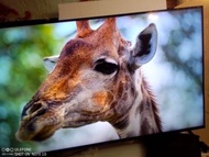承讓43吋超薄4k畫質智能電視smart TV，可接駁wi-fi上網瀏覽世界各地網上節目，可連接天線收看本地傳統電視。