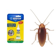 Bayer quantum เหยื่อกำจัดแมลงสาบ