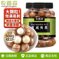 Nongxiangsen Macadamia Nuts Big Nuts 500g Canned Nuts Stir-Fried Goods Pregnant Women Snacks Dried N