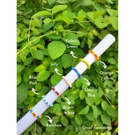 Part 5 Bead rings / Beads rings / aesthetic rings / Korean rings