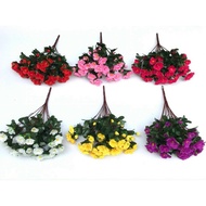 Azalea****