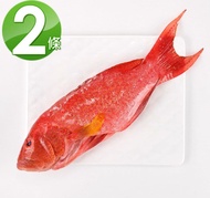 【華得水產】空運燕尾紅條魚2條組(400-480g/條)