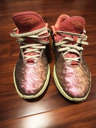 Nike zoom air Lebron 21