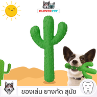 CACTUS ยางกัด ของเล่นสุนัข ช่วยขัดฟัน แข็งแรงและทน Dog Toy CleverPet