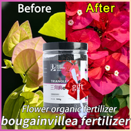 ✨Effective in two days✨bougainvillea fertilizer 500g fertilizer for bougainvillea