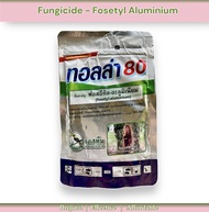 GBO Katrina: Fosetyl Aluminium | Systemic Fungicide
