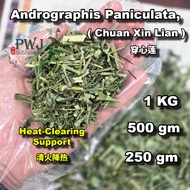 Andrographis Paniculata 穿心莲 (Chuan Xin Lian) (1KG, 500gm, 250gm)