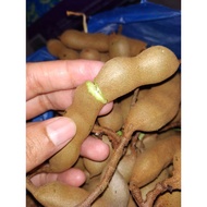 Buah asam jawa/celagi muda putik segar 800 gram