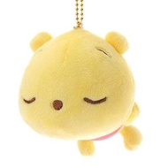 🔮 日本 Disney Winnie the Pooh Mocchi 小熊維尼 糯米磁毛公仔鎖匙扣