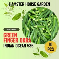HSK [10pc] F1 HIBRID OKRA INDIAN OCEAN 535 SEED BIJI BENIH BENDI