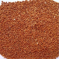 Millet for birds.hamter 1kg